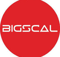 Bigscale Logo